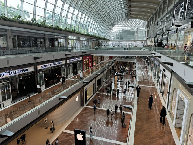 THE SHOPPES AT MARINA BAY SANDS