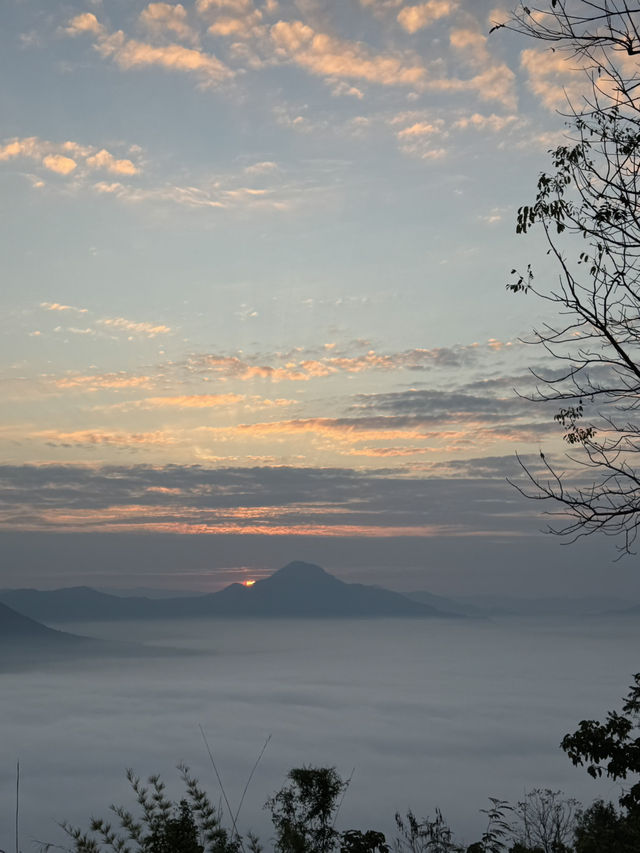 ทะเลหมอกภูทอก เชียงคาน – ฟีลดีมาก มาแล้วจะหลงรัก