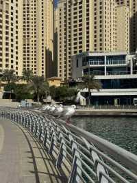 Stunning Waterfront District: Dubai Marina
