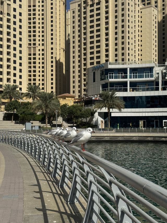 Stunning Waterfront District: Dubai Marina