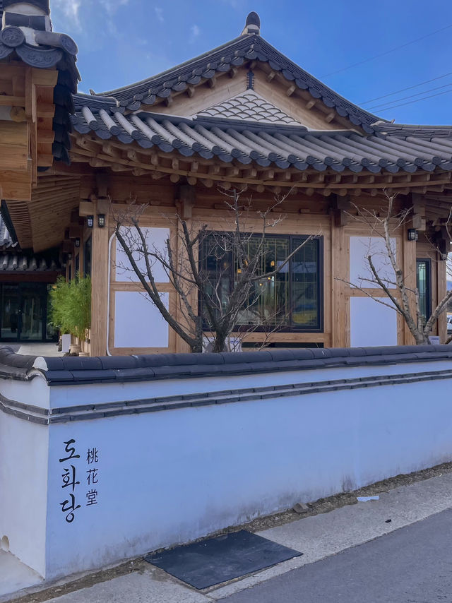 경주 국물이 깔끔한 칼국수집 추천