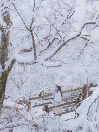 한국에 있는 진정한 겨울왕국 ❄️