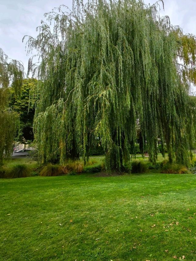 花園城市內的基督城植物園