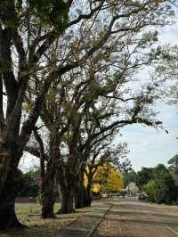 วังสวนบ้านแก้ว