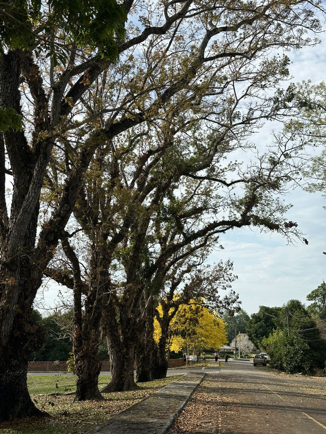 วังสวนบ้านแก้ว