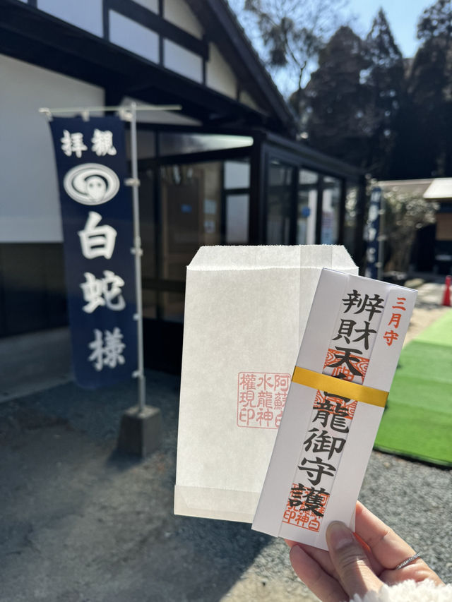 【熊本旅行】金運祈願🙏白蛇様参拝ができる神社⛩