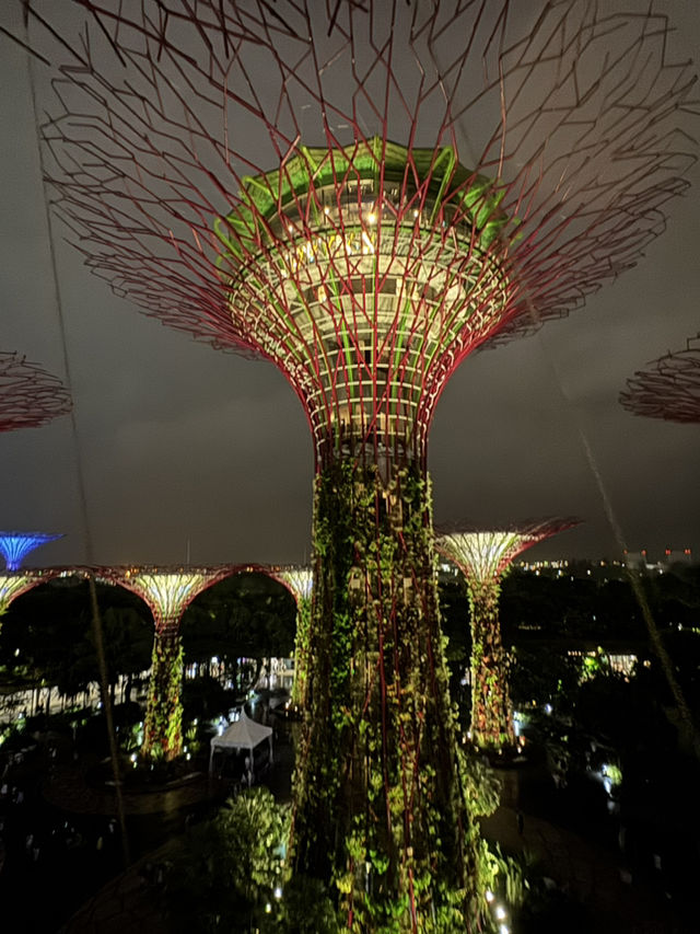 Stunning skyline view of Singapore - OCBC Skyway