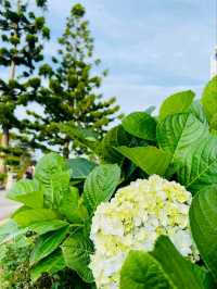 Jerai Hill: A Breathtaking Highland Escape in Kedah