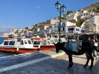 ギリシャ🇬🇷イドラ島⛴️