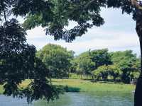 探索台東大學 綠建築之美 🤩🌿知識與自然的完美結合