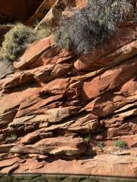 깊고 울창한 자연의 품 안에 숨겨진 보석 같은 장소 “Zion canyon”