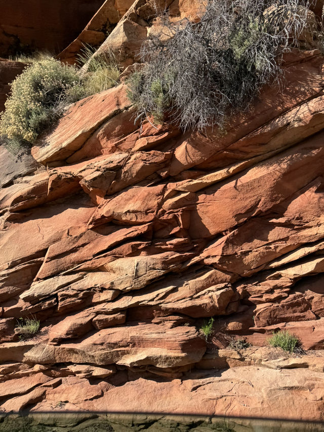 깊고 울창한 자연의 품 안에 숨겨진 보석 같은 장소 “Zion canyon”