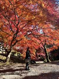 Kyoto - Bishamon-do temple