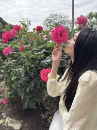 🫧🪻💐莫奈花園🌷🌺 🫧油畫一樣咁靚🖼️
