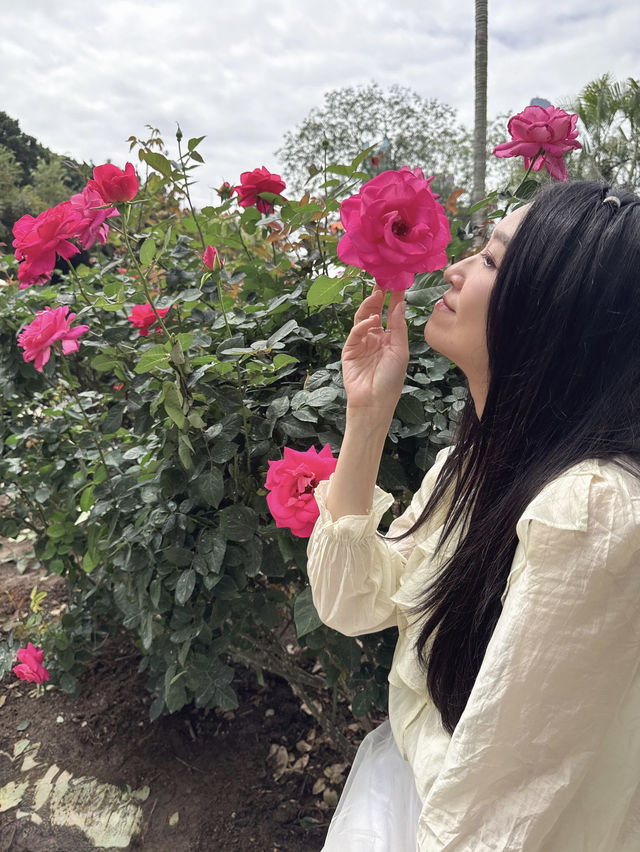 🫧🪻💐莫奈花園🌷🌺 🫧油畫一樣咁靚🖼️