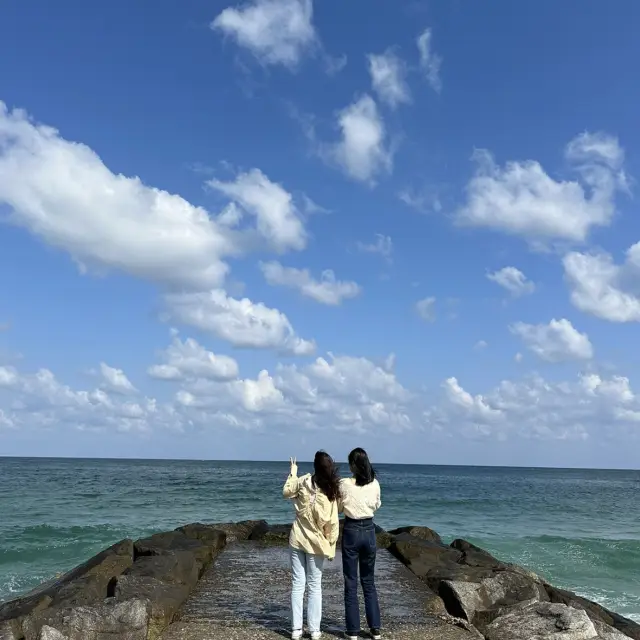 【江陵】🇰🇷 トッケビ撮影地
