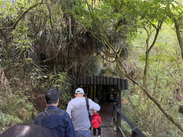 奧克蘭親子旅遊必去——到山洞睇螢火蟲啊