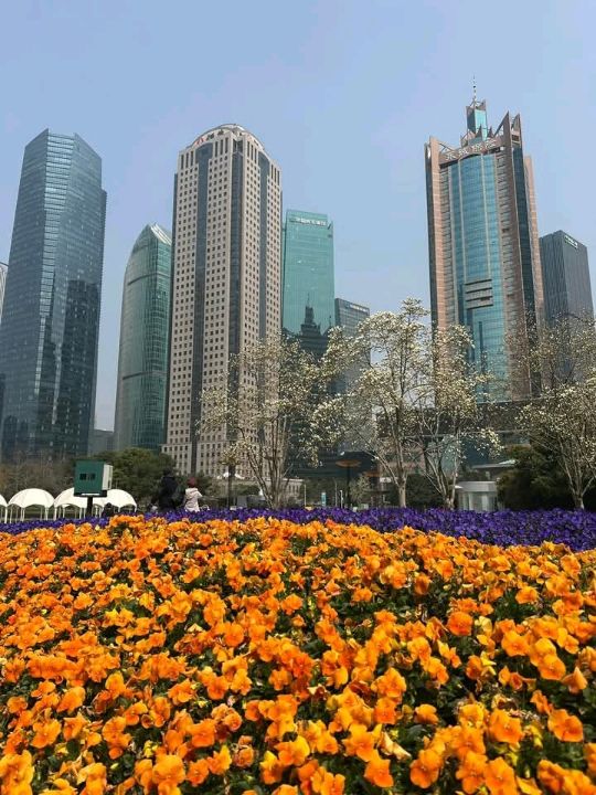 Lujiazui Central Greenland แห่งเมืองเซี่ยงไฮ้