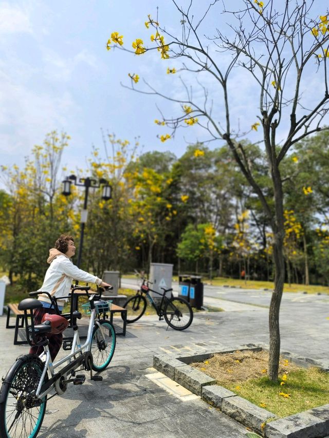 惠州除了西湖外,還是一個紅花湖也很美