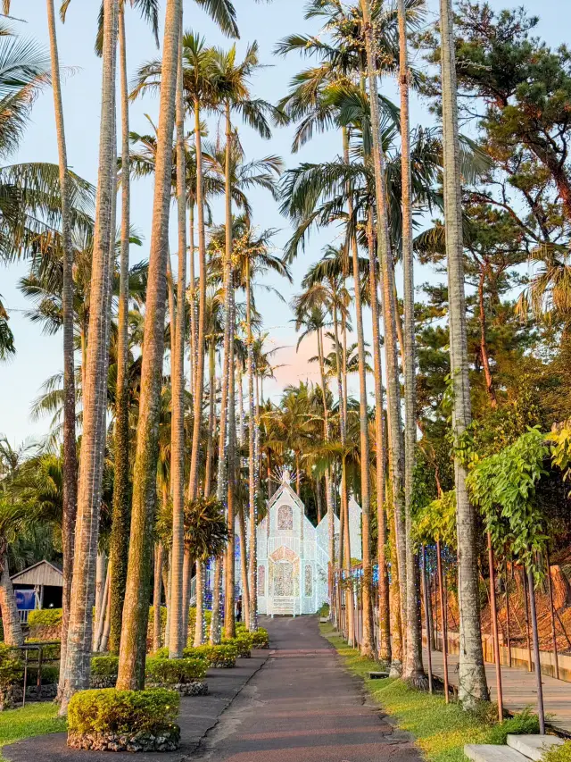 沖繩景點🏝️東南植物樂園淡季限定燈光秀