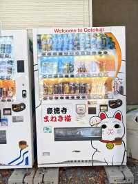過1000隻招福貓等你來