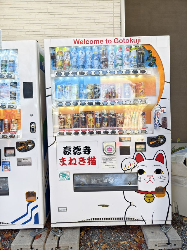 過1000隻招福貓等你來
