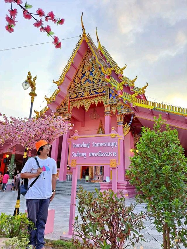ขอ-ได้-ไหว้-รับ 🙏ตาพรานบุญ|ศรัทธาชาวเมืองคอนฯ