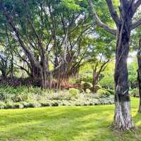 金灣濕地公園～自然的秘境