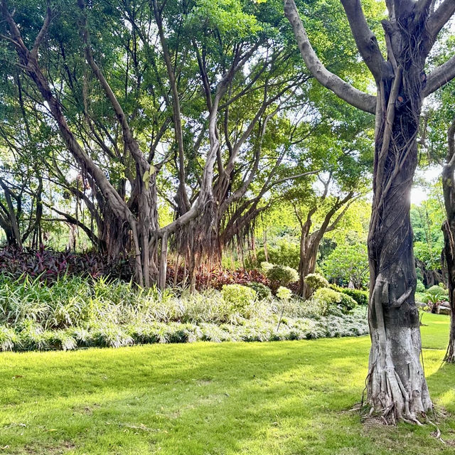 金灣濕地公園～自然的秘境