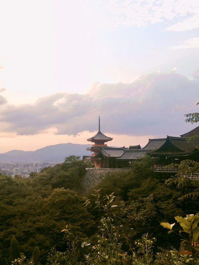🏯이른해질녘에 가면 더이쁜 교토 필수코스 기요미즈데라