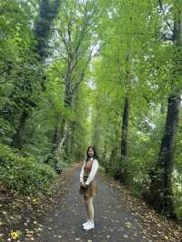 Spring Riverside Walk in Durham: A Stroll with a View