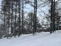 หนีร้อนไปเล่นสโนบอร์ดที่ Inwashiro Snow Paradise