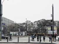 汝矣島公園週末必訪 放鬆心情的完美選擇 舒服到伸懒腰