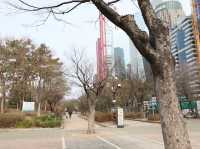 汝矣島公園週末必訪 放鬆心情的完美選擇 舒服到伸懒腰