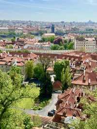 Spring in Prague: A Visit to Prague Castle🌷