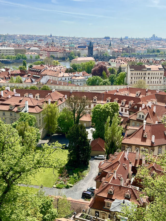 Spring in Prague: A Visit to Prague Castle🌷