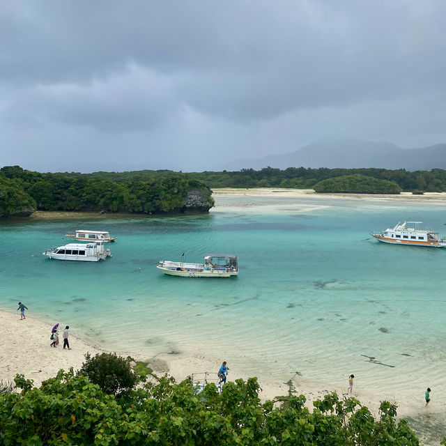 🌺 南国の楽園・石垣島を満喫！🏝️