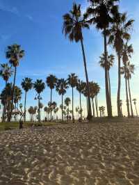 【🌊カリフォルニアの絶景ビーチ！「サンタモニカビーチ」完全ガイド🚲✨】