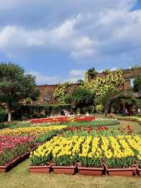 Blooming Beauty at Ocean Expo Park