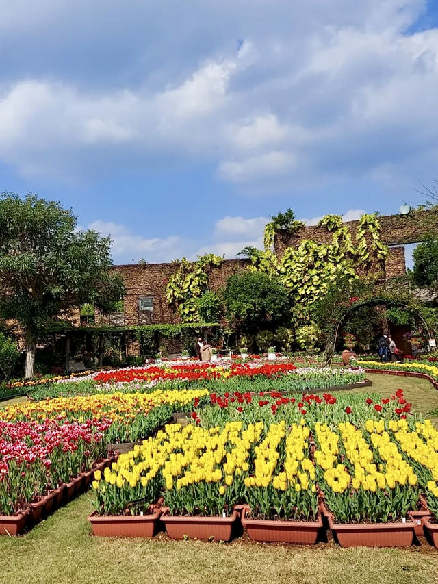 Blooming Beauty at Ocean Expo Park
