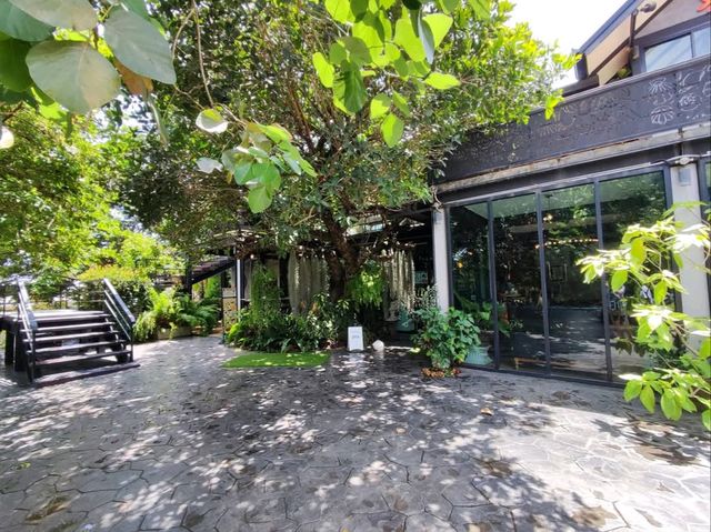 คาเฟ่เด็ด บ้านเพ อาหารสดอร่อย บรรยากาศร่มรื่น