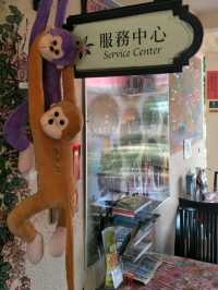 #高雄農場-高雄美濃