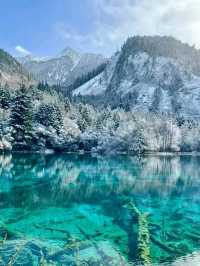 Jiuzhaigou: A Snowy Wonderland of Tranquil Beauty