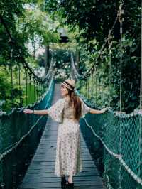 Urban Oasis: Exploring Nature at KL Eco Park