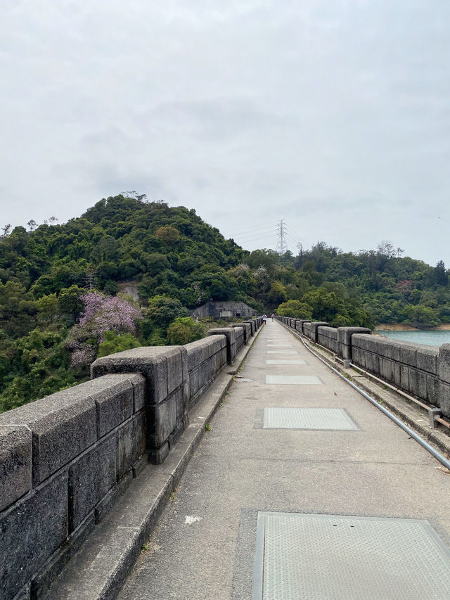 城門水塘，BB級別的徒步路線