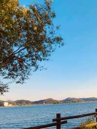 Whispers of Spring: Decoding Dasan's Subtle Green Language 