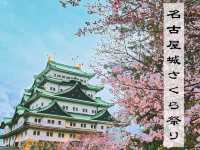 【名古屋】春の風物詩✨名古屋城のさくら祭り🏯🌸