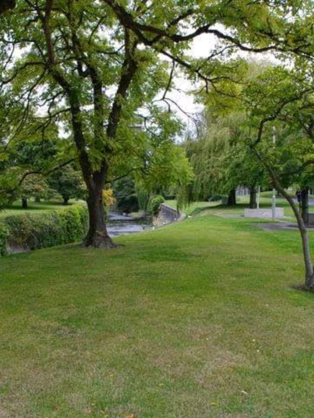 #奧塔哥大學（University of Otago）-紐西蘭但尼丁市