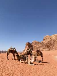 A Desert Dream: Glamping in Wadi Rum at Hotel Rum Titanic