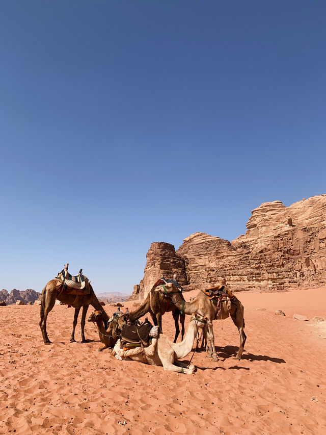 A Desert Dream: Glamping in Wadi Rum at Hotel Rum Titanic